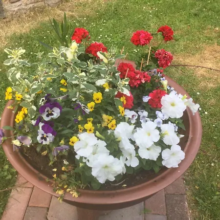 아파트 Ferien Sonnenschein Wechterswinkel