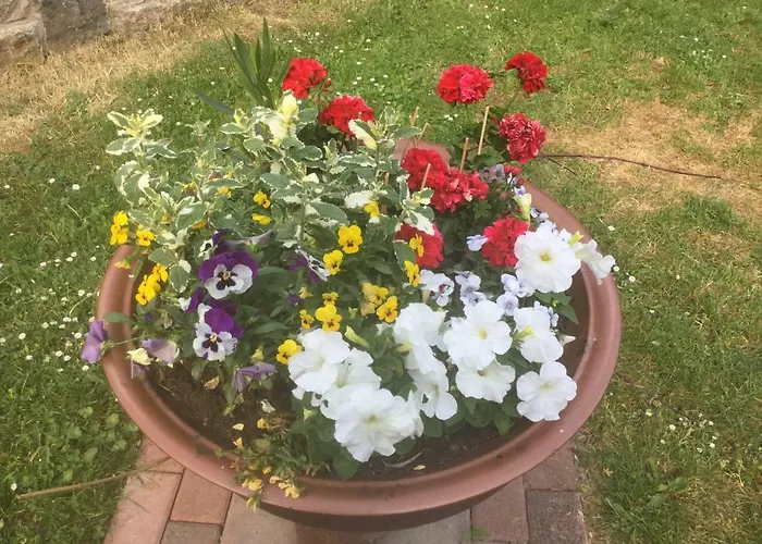 アパート Ferien Sonnenschein Wechterswinkel